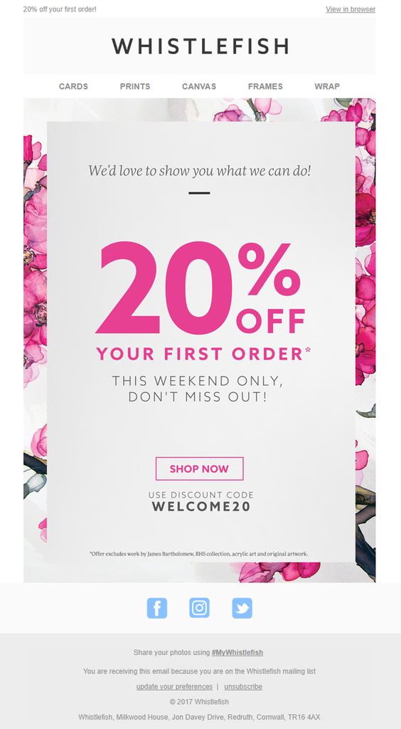 Promotional email example. Email campaign example.