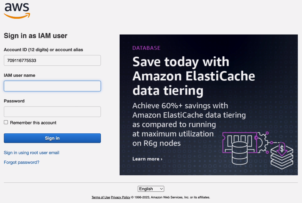 Finding the IAM sign-in section.