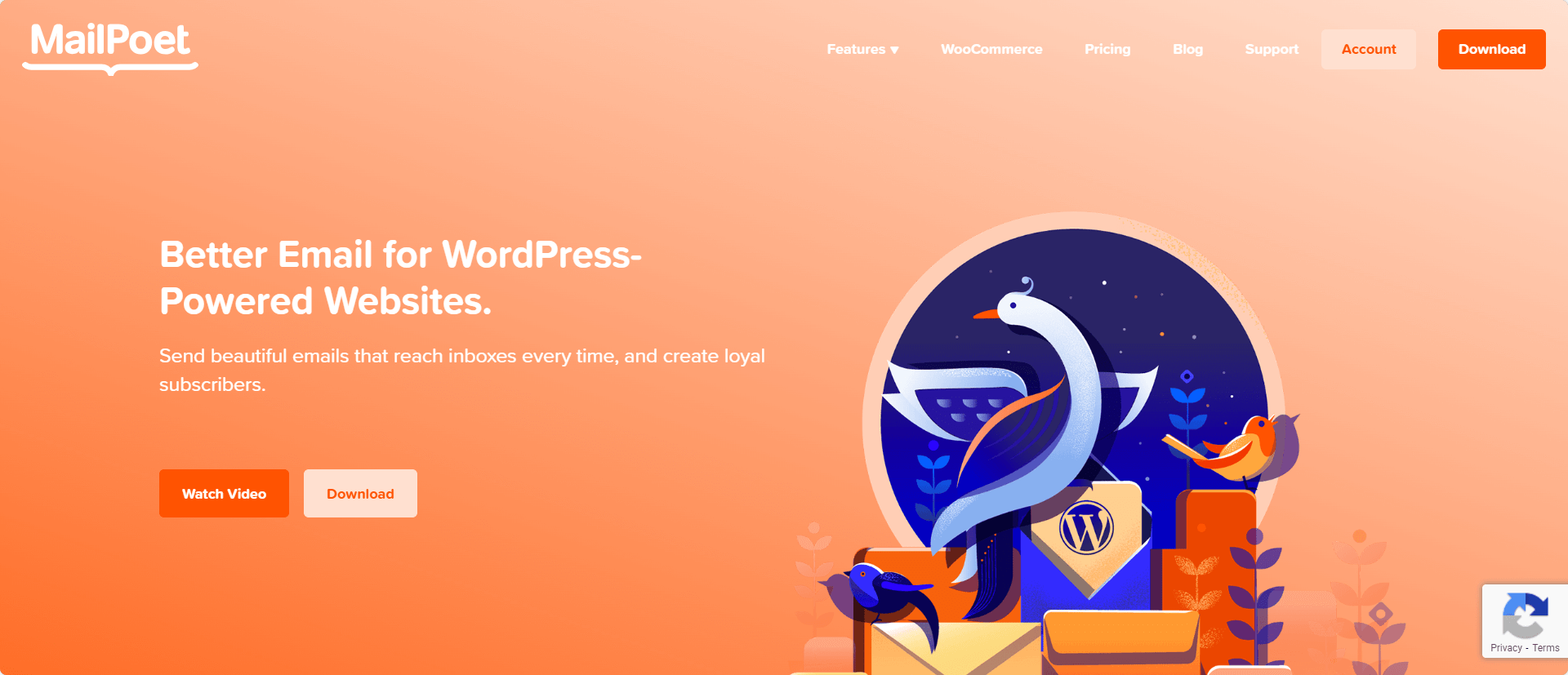 #2 MailPoet the best email marketing tool for WooCommerce