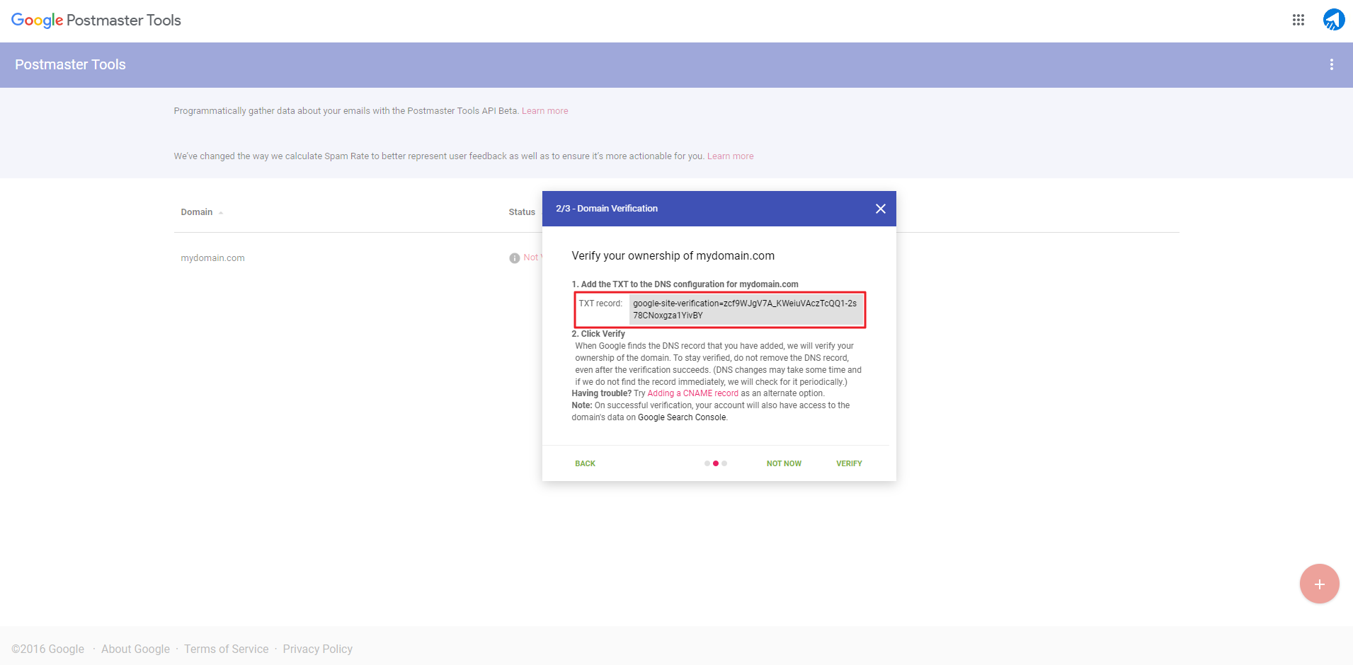 Copying TXT record from Google Postmaster and pasting it in your DNS Management