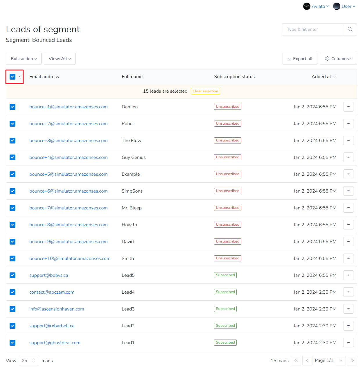 After clicking the highlighted checkbox, all the Bounced Leads will be selected. If you have more than hundred leads then click Select all leads - this will select all the bounced leads under that segment.